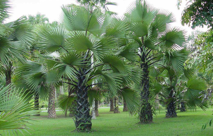 1555468842439413.png image.png